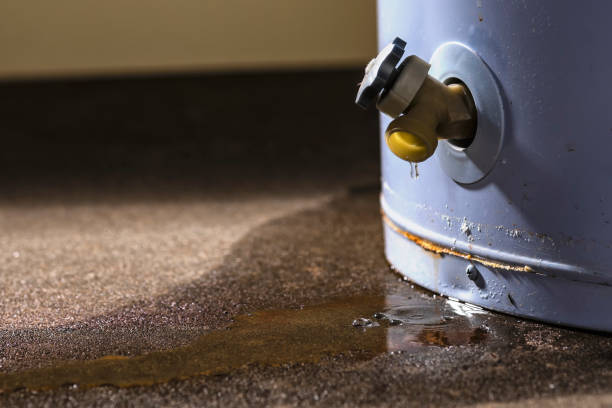 Best Professional water damage repair  in Holly Springs, NC