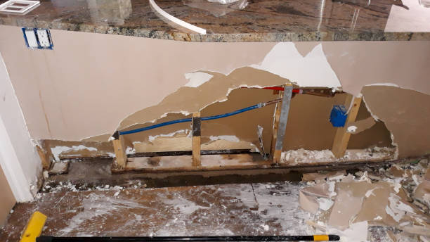 Best Mold removal after water damage  in Holly Springs, NC
