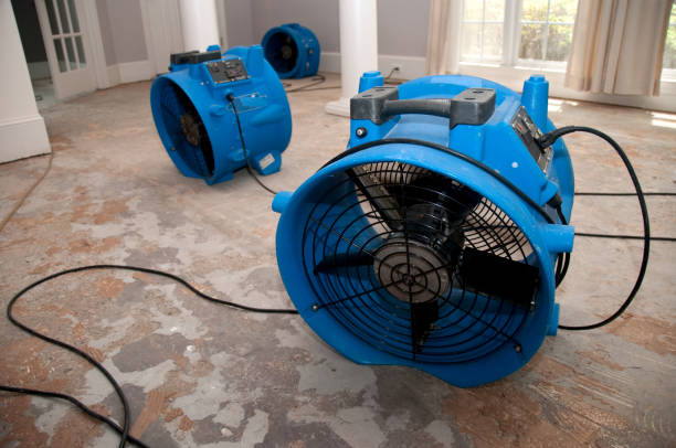 Best Commercial water damage restoration  in Holly Springs, NC