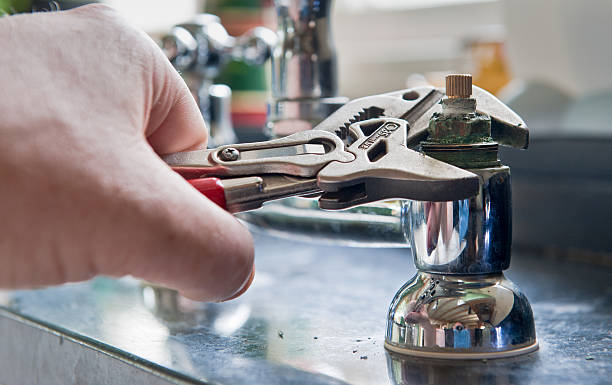 Best Professional water damage repair  in Holly Springs, NC
