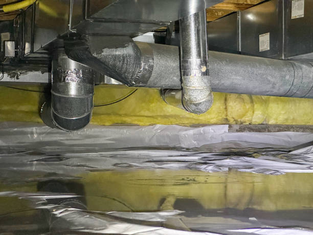 Best Basement water damage restoration  in Holly Springs, NC