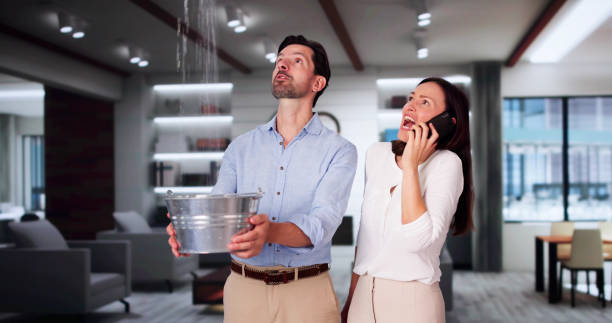 Best Water damage contractors near me  in Holly Springs, NC