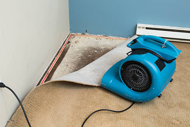Best Ceiling water damage repair  in Holly Springs, NC